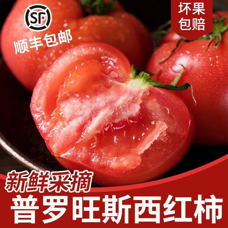 普罗旺斯西红柿5斤单果100g起顺丰包邮自然熟沙瓤番茄现摘现发 22.9元