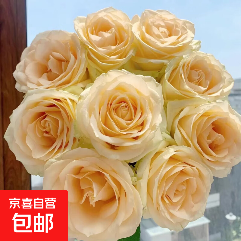 云南香槟玫瑰花 10枝鲜花 14.9元包邮(需领券)