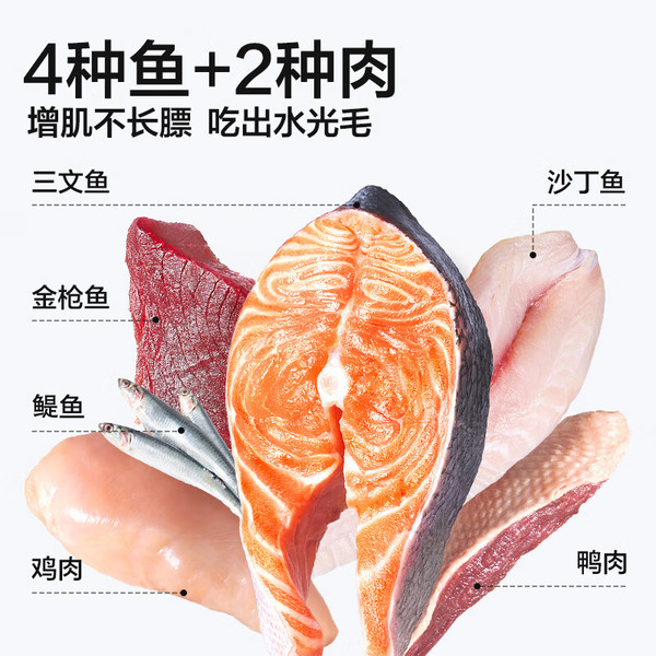 NOURSE 卫仕 膳食平衡系列 无谷六种肉全阶段猫粮 10kg