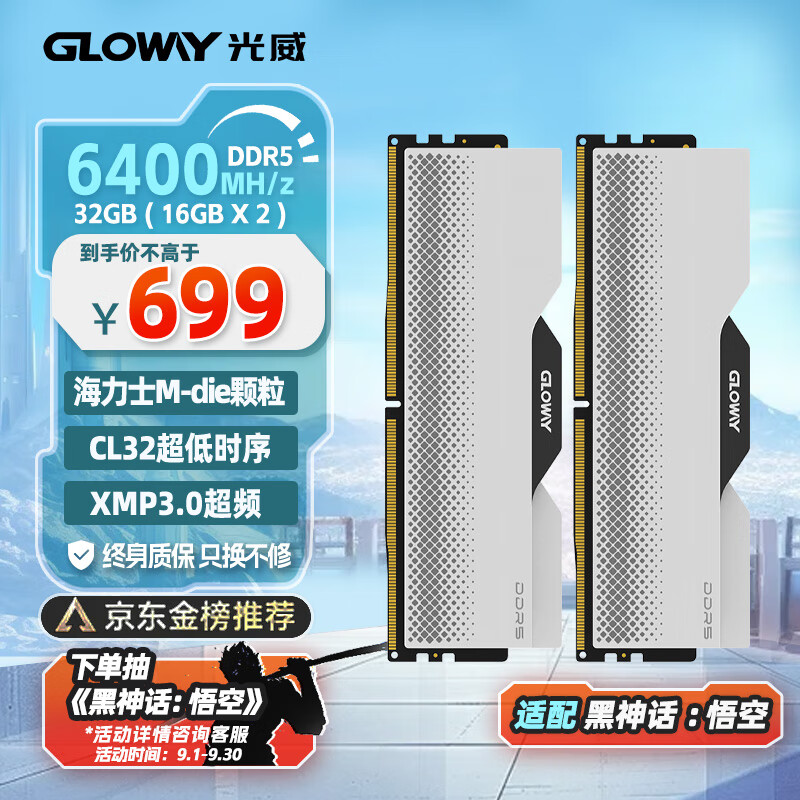 GLOWAY 光威 龙武系列 DDR5 6400MHz 台式机内存条 32GB（16GB*2）套条 ￥759