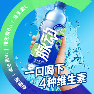 脉动 Mizone 青柠口味1l 12瓶维c果汁水低糖运动饮料家庭大瓶装51 91元 京东商城 逛丢 实时同步全网折扣