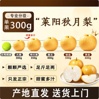 京觅 山东烟台莱阳头茬秋月梨 净重8斤大果 单果250g+ 源头直发包邮 27.3元 - 86线报 京觅 山东烟台莱阳头茬秋月梨 净重8斤大果 单果250g+ 源头直发包邮 27.3元 - 86线报