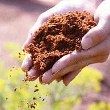 YINTU 印途 椰砖营养土养花种菜通用型大块脱盐多肉椰土壤椰糠粗椰壳种植椰