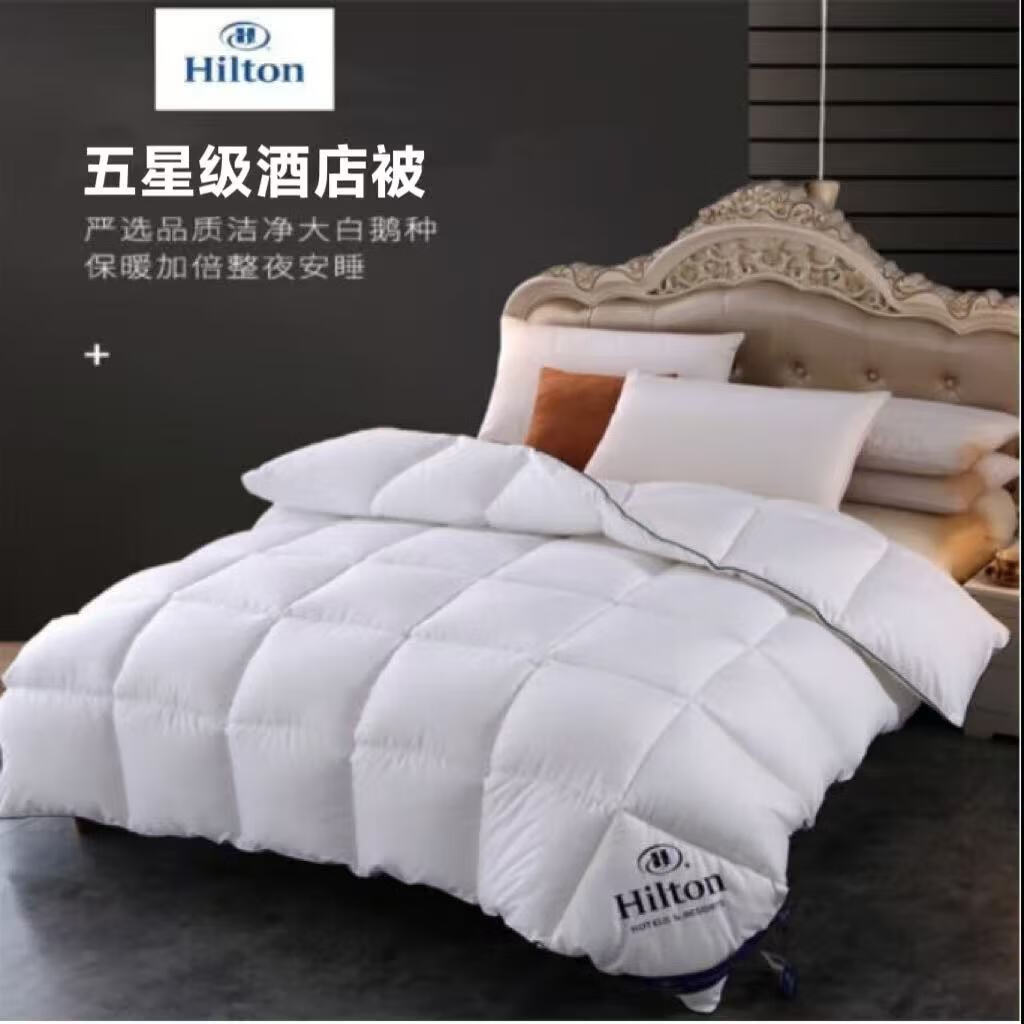 YILIN HILTON 加厚印花工艺恒温防钻绒丝绒被芯 150*200cm 6斤 65元（需用券）