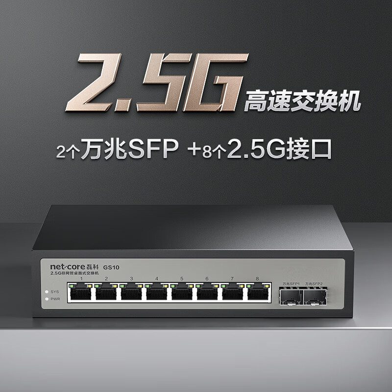 有券的上、以旧换新补贴：netcore 磊科 GS10 10口2.5G交换机 8个2.5G电口+2个万兆