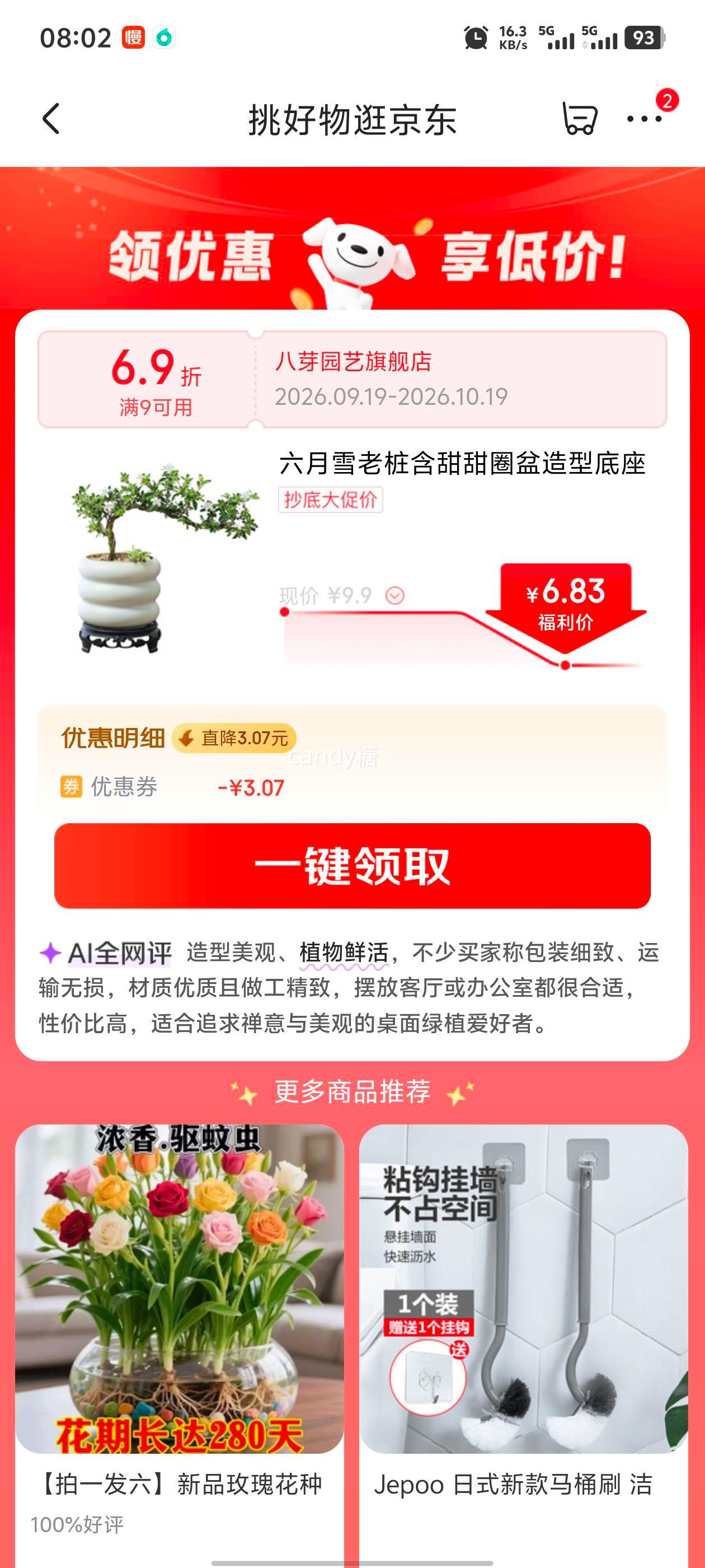 八芽 六月雪盆栽 金边老桩弯枝 中式禅意绿植 6.83元 - 86线报