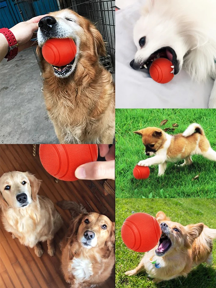 88VIP：狗狗玩具耐咬球训犬专用逗狗神器磨牙边牧泰迪小狗自嗨橡胶宠物球 8