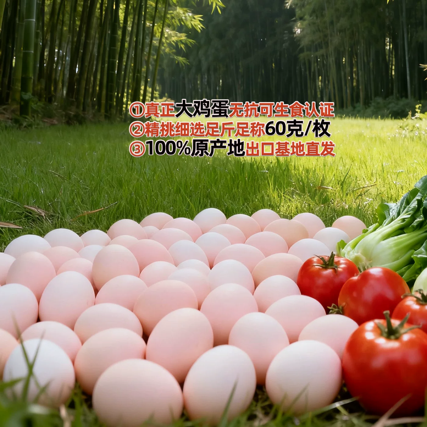 鹏昌 60克/枚出口基地大鸡蛋50枚 可生食无抗双认证大码蛋 39.91元 - 86线报