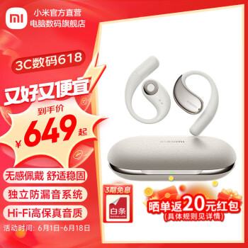Xiaomi 小米 开放式耳机 ￥584.38