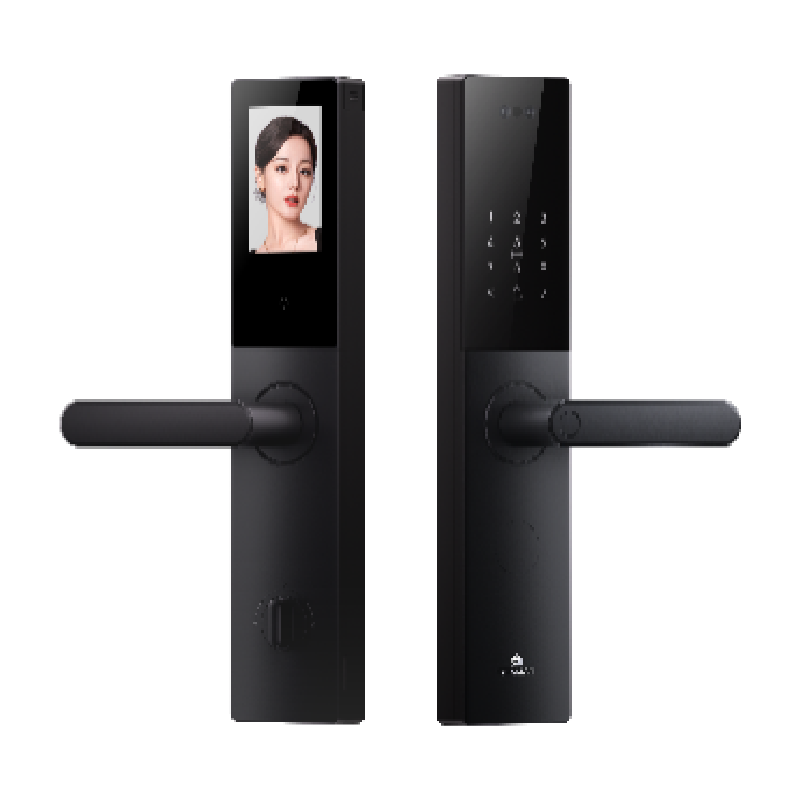 京东PLUS：德施曼 V20F 3D人脸识别 典雅黑 智能门锁