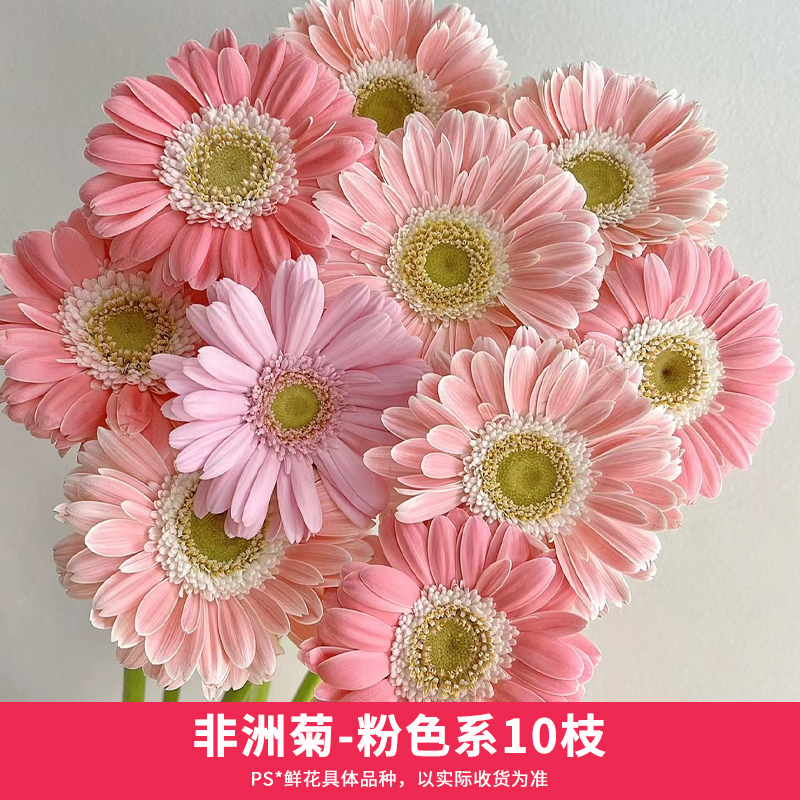 花点时间 应季花材礼包 19.9元（需用券）