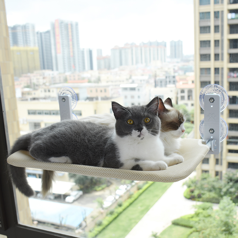 others 其他 猫吊床猫咪猫窝窗户窗台床边晒太阳吸盘挂床阳台玻璃宠物猫床