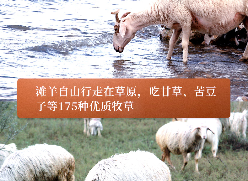 4.9分，中国地理标志、6-8月盐池滩羊：4斤 牛穆穆 羊后腿 券后188元包邮 买手党-买手聚集的地方