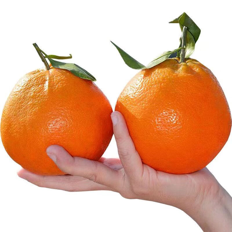 MPPMCK 特大果 单果80mm+ 四川春见耙耙柑 4.5斤装 17.45元（需买2件，需用券）