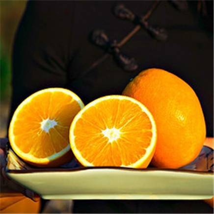 PLUS会员：韶云山 赣南脐橙 一级大果(单果约80-89mm) 10斤 54.9元 包邮（双重优惠）