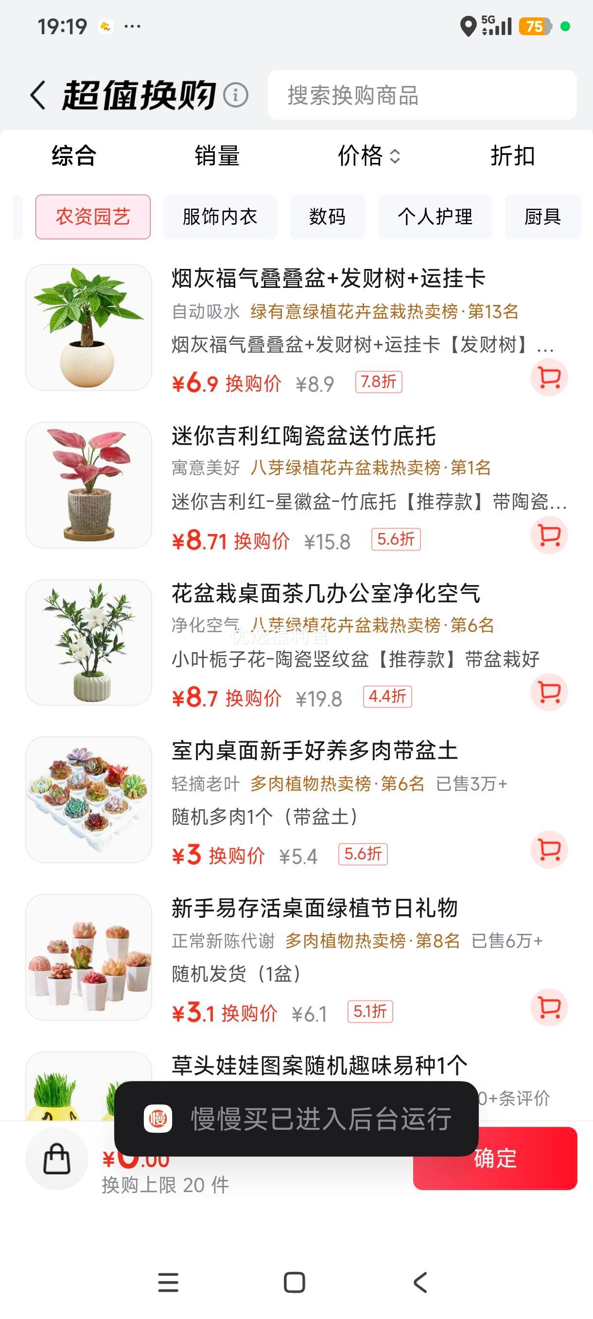 八芽 吉利红迷你盆栽 陶瓷盆+竹底托 推荐款 8.71元 - 线报酷