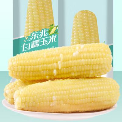 珍谷诱惑 24年新白糯玉米 200g*10支 19.99元 包邮（双重优惠）