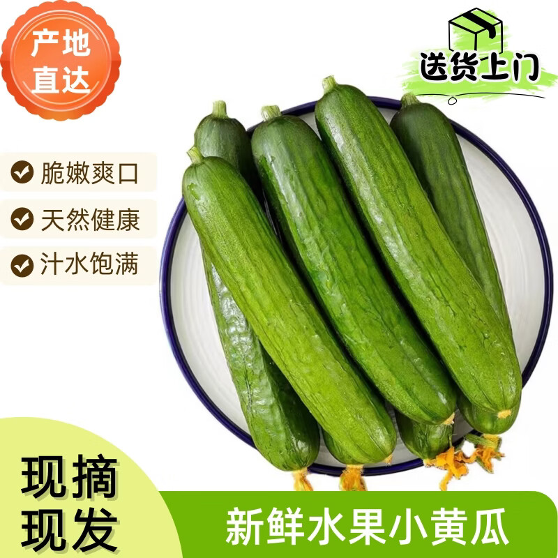 京鲜生 山东荷兰水果黄瓜3斤装 11.9元 - 清风线报