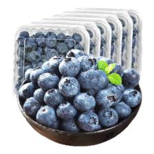 京丰味蓝莓 蓝莓水果 125g/盒 精选大果 果径约15-18mm 4盒 39.5元包邮