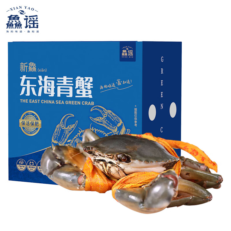 XIAN YAO 鱻谣 青蟹 巨型母膏蟹8-9两 一只装 礼盒装 鲜活螃蟹生鲜蟹类海鲜 179