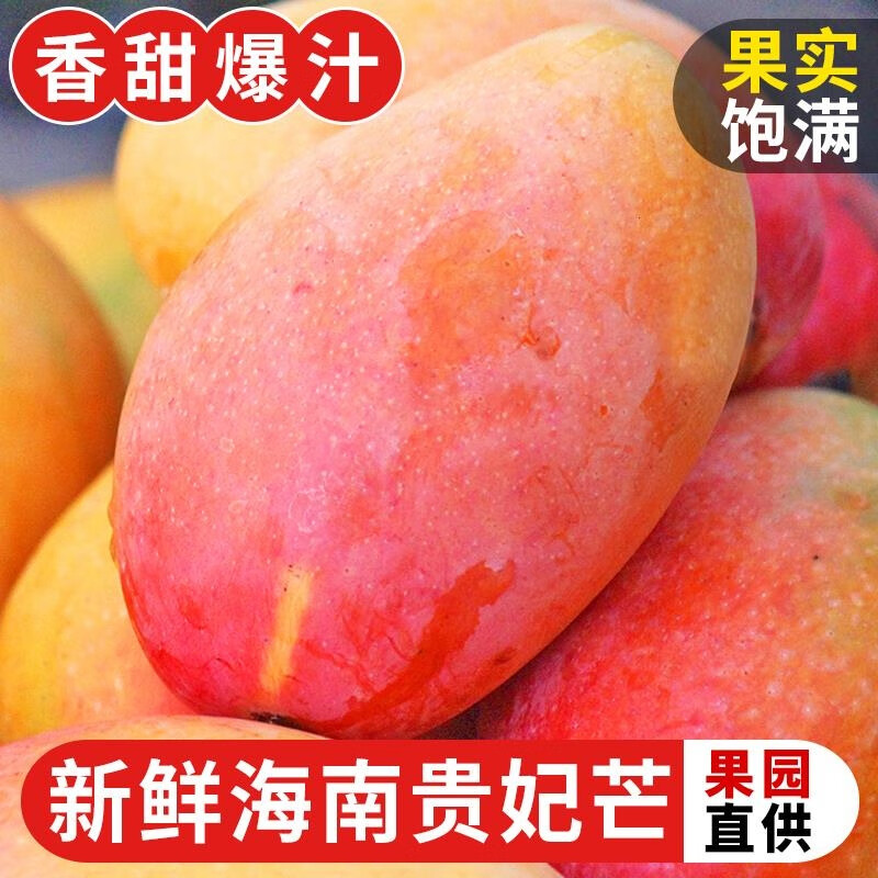 鲜果先生 海南贵妃芒 精选4.5-5斤（单果约75-150g） 12.9元（需用券）