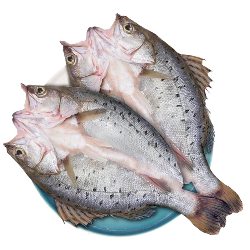 移动端、京东百亿补贴：鲜京采 三去海鲈鱼3斤/3条 生鲜鱼类 白蕉鲈鱼地标 