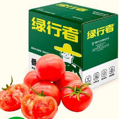 绿行者（GREER）番茄 5斤 36.47元