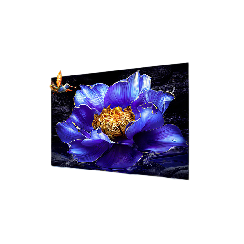 TCL 55V8H Pro 液晶电视 55英寸 4K 1731.4元（需用券）