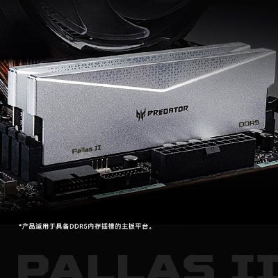 新品：宏碁掠夺者（PREDATOR）32G(16G×2)套装 DDR5 6400频率 台式机内存条 Pallas II