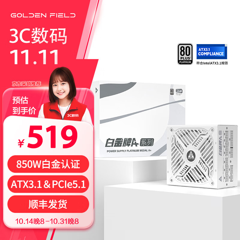 金河田 白金A+850W 全白版ATX3.1台式电脑电源 PCIE5.1全模组设计/白金认证/全日