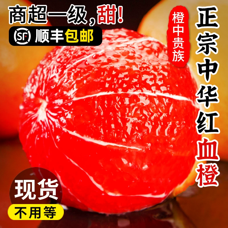 誉福园 中华红血橙 5斤 60mm ￥14.8