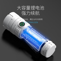 CRISPI 强光小手电筒 SD-1014 便携迷你超亮长续航防水耐用LED ￥4.9