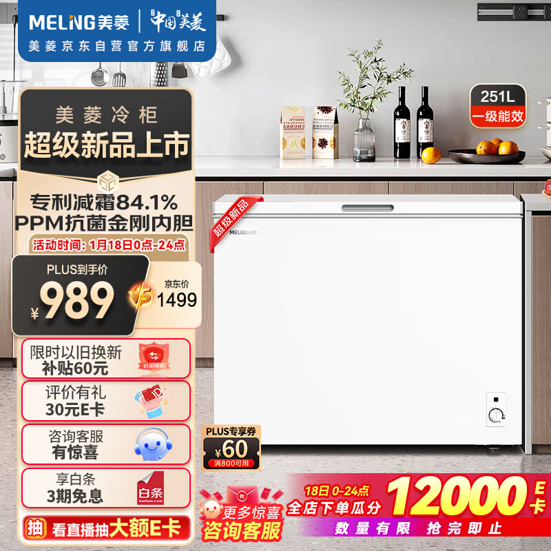 美菱 MeiLing）美菱251升家用冰柜 -35°速冻大容量冷藏冷冻转换 减霜84.1% 一级