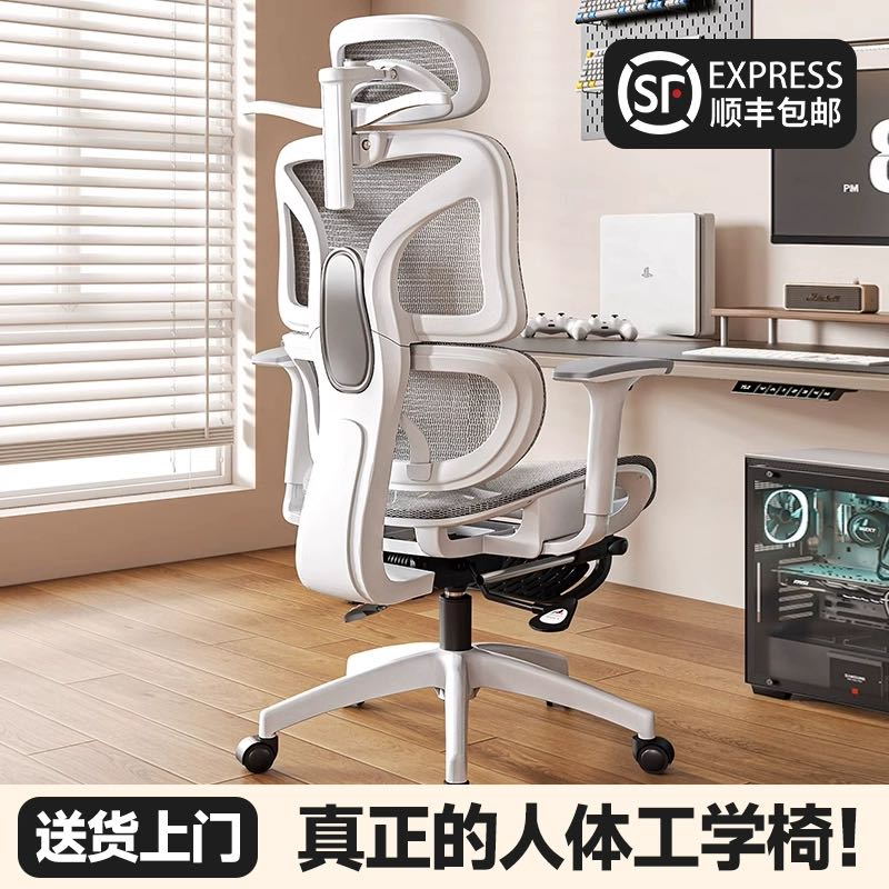 人体工学椅子护腰电脑椅家用舒适久坐电竞椅子男生可躺办公室座椅 283.19元