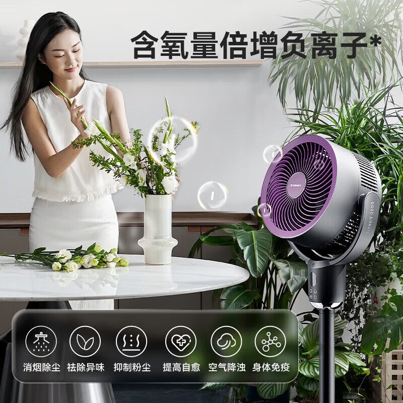 艾美特 空气循环扇负离子净化落地扇家用卧室桌面台立式电风扇节能涡轮大