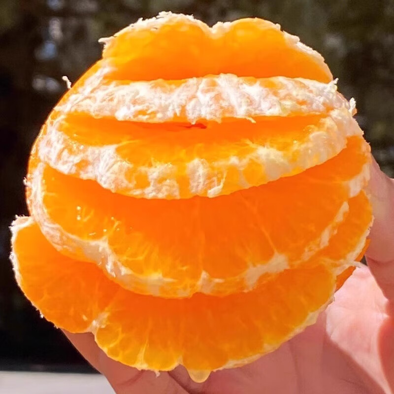 粤迎 广西沃柑新鲜超甜薄皮橘子新鲜采摘水果 净4.5-5斤 11.9元