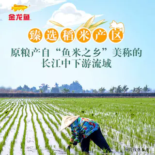 金龙鱼 臻选猫小伢香米2.5kg清甜回甘南方大米丝苗米纤长清香丝滑 21.9元 - 86线报 金龙鱼 臻选猫小伢香米2.5kg清甜回甘南方大米丝苗米纤长清香丝滑 21.9元 - 86线报