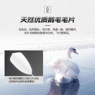 大鹅毛羽毛球专业耐打十片白羽耐用性价比娱乐球儿童学生室内外 11只一桶装 1筒 12.9元 - 美泡泡 大鹅毛羽毛球专业耐打十片白羽耐用性价比娱乐球儿童学生室内外 11只一桶装 1筒 12.9元 - 美泡泡