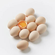 湖北省鸡蛋大王 农家散养土鸡蛋 20枚 9.9元包邮、折0.5元/枚