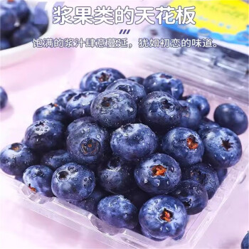 超值出游季！特大蓝莓 125g/2盒 果径18-22mm+京东包邮 17.6元（需买3件，需用券