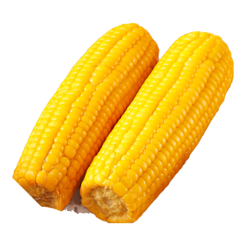 东北黄糯玉米真空包装速食玉米软糯香甜代餐小棒140g-180g 3根装 0.86元(需领