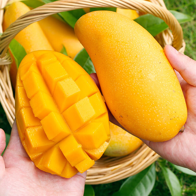 闽域寻鲜 金煌芒 5斤装 精品果 单果250g+ 净4.5斤 超大果！13.8元，整箱5斤