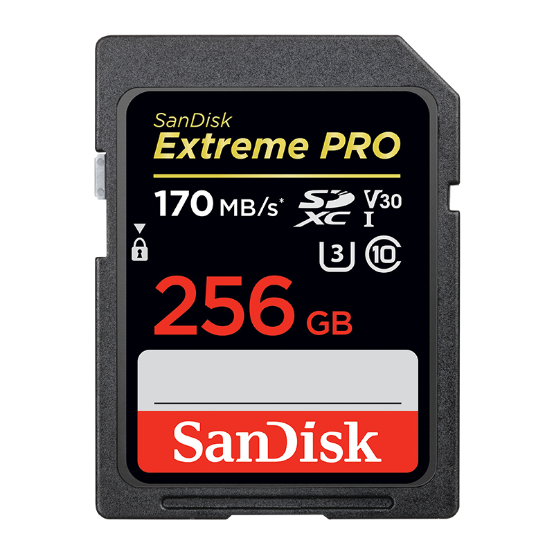 SanDisk 闪迪 Extreme PRO SDXC U3 C10 V30 SD存储卡 256GB 297.45元（含税）