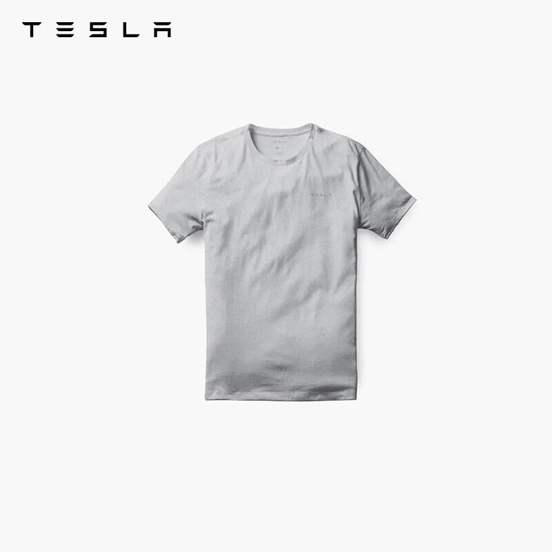 TESLA 特斯拉 T恤休闲logo小立体字母标识男款 灰色 S码 ￥78.61