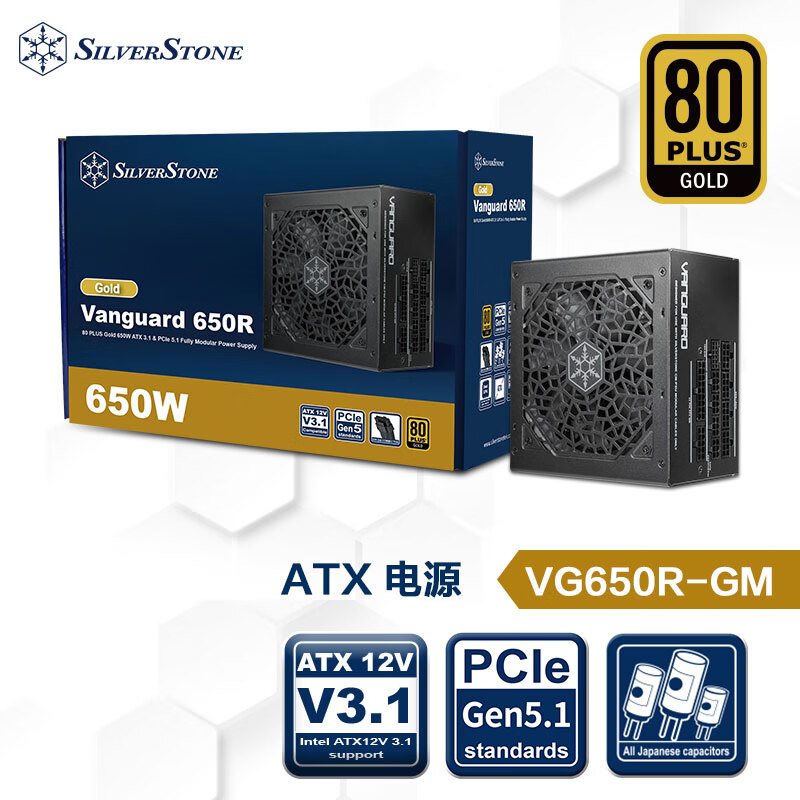 银欣 银昕（SilverStone）650W VG金牌ATX3.1电源 (原生PCIE5.1/全日系电容/压纹材质/