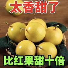 百亿补贴：达妮妮 钦蜜9号黄金百香果新鲜果产地直发特产大果水果新鲜 23.9