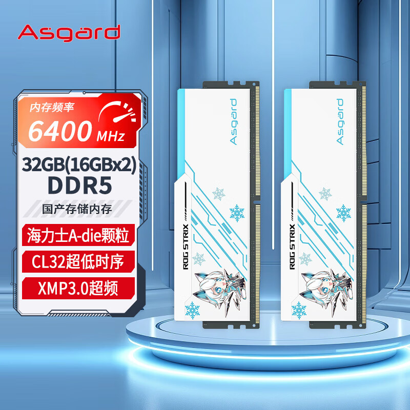 Asgard 阿斯加特 32GB(16Gx2)套 DDR5 6400 台式机内存条 吹雪马甲 适配黑神话悟空 7