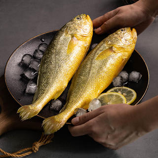 海名威 冷冻黄花鱼700g/2条 宁德大黄鱼 海鱼 生鲜鱼类 海鲜水产 国庆 28.99元 - 线报酷 海名威 冷冻黄花鱼700g/2条 宁德大黄鱼 海鱼 生鲜鱼类 海鲜水产 国庆 28.99元 - 线报酷