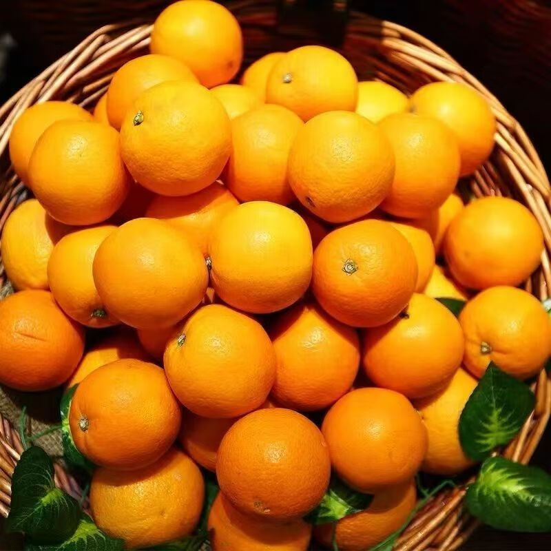 天乐优选 麻阳冰糖橙 9斤单果60-65mm 11.9元
