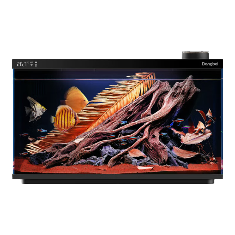 18点:当贝 智能生态鱼缸 1Ultra 220.15元(需领券)